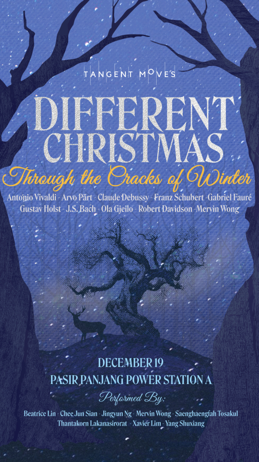 Different Christmas: Through the Cracks of Winter