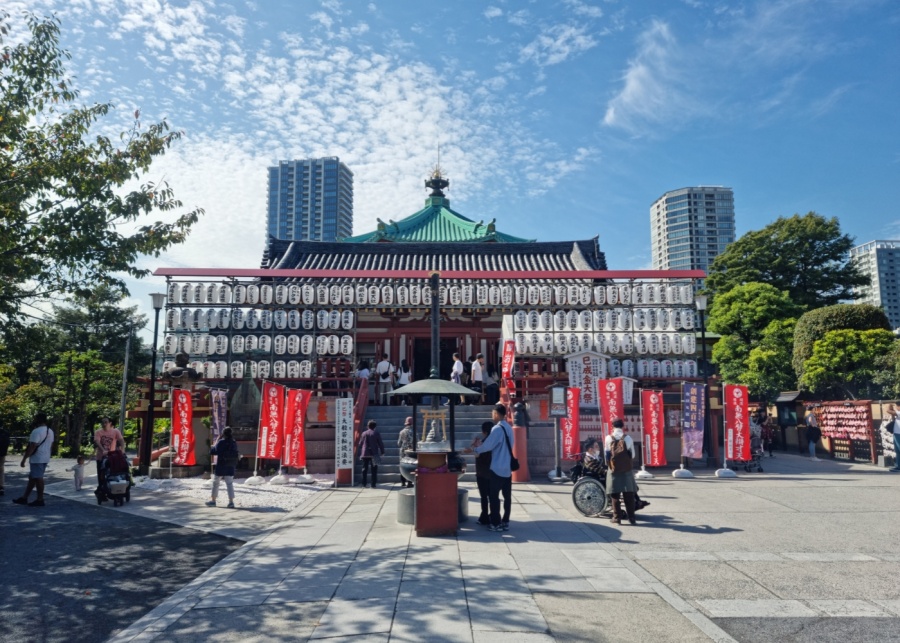 Need an eSIM recommendation? | Honeycombers