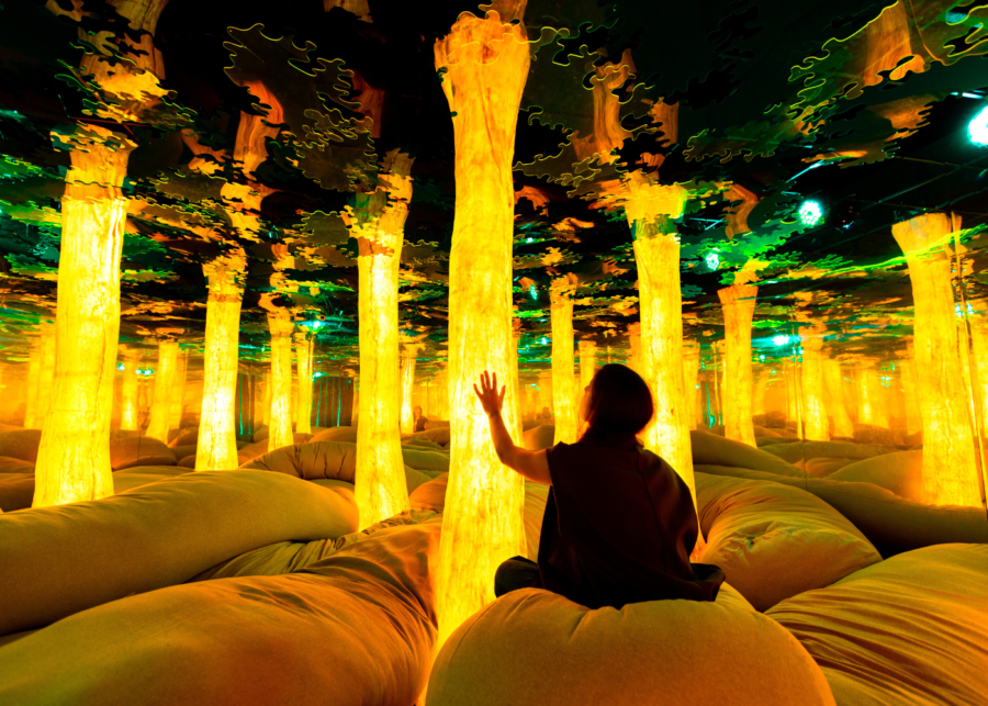 euphoria grove - dopamine land singapore