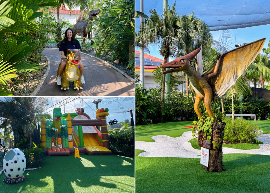 mini golf in singapore | dino putt clubface