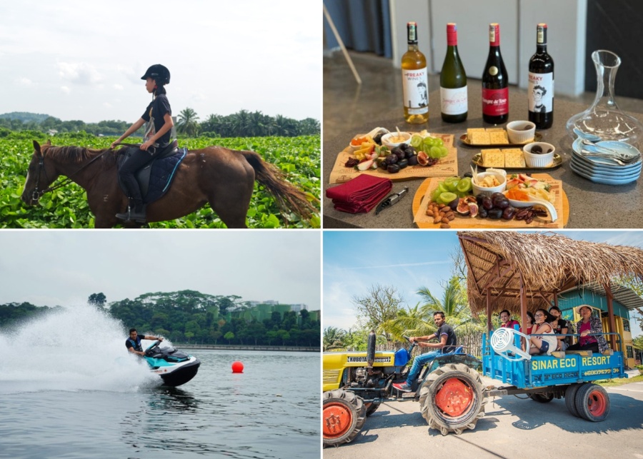5 unique things to do in Johor Bahru: Tranquil horse riding, wallet-friendly wine tastings, and more