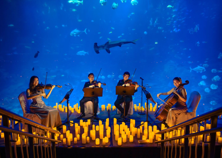 candlelight concerts - things to do in singapore 2026