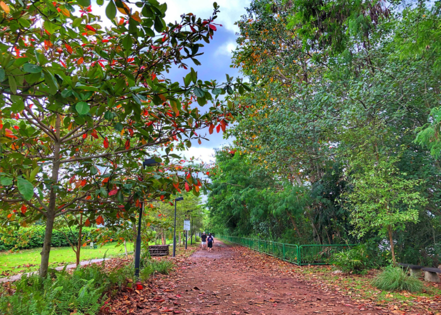 coney island - things to do in singapore 2026