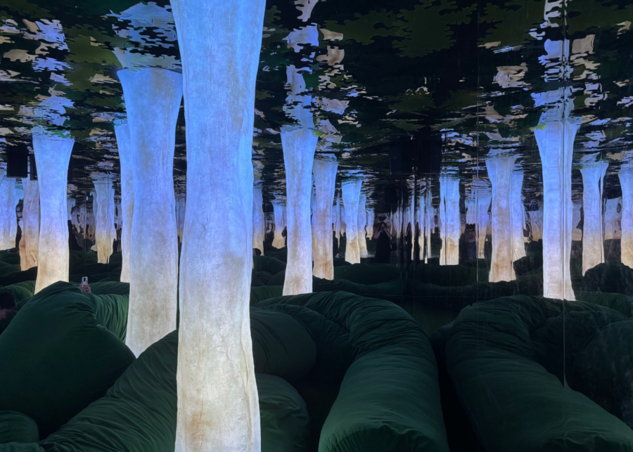 dopamine land singapore review