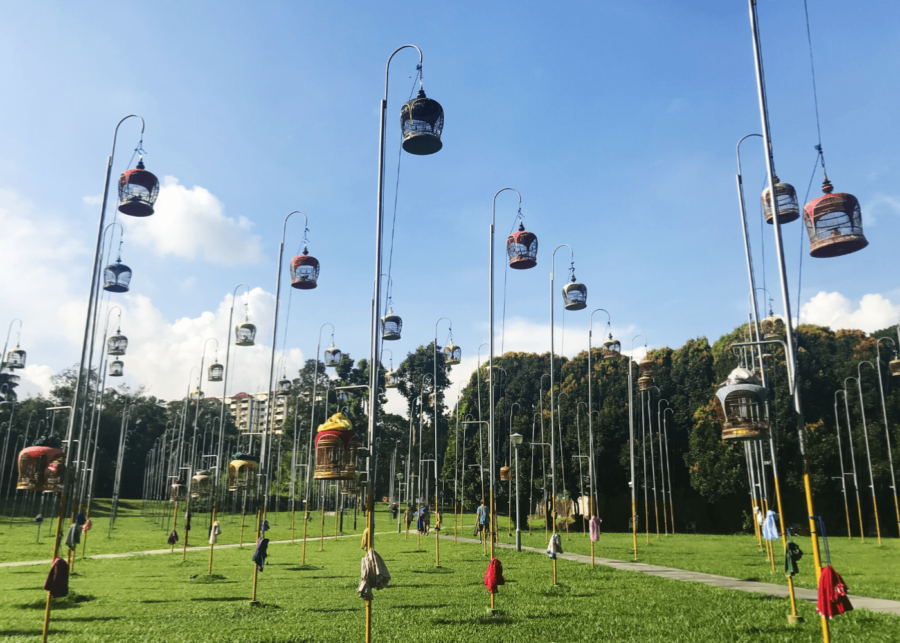 kebun baru bird singing club - things to do in singapore 2026