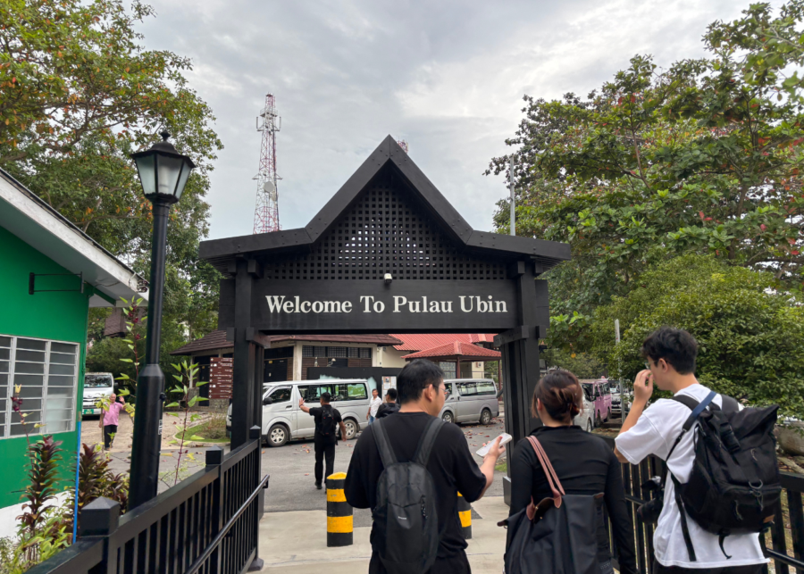 screaming pigeons trail chats - things to do this weekend in singapore 2026