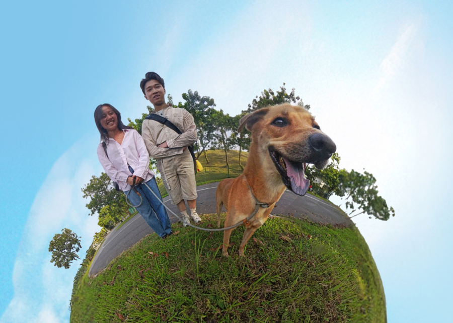 singapore special walk with sosd - things to do this weekend in singapore