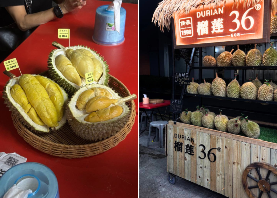 try durian - things to do in singapore 2026