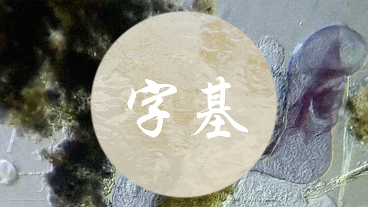 Boedi Widjaja: Immortal Words