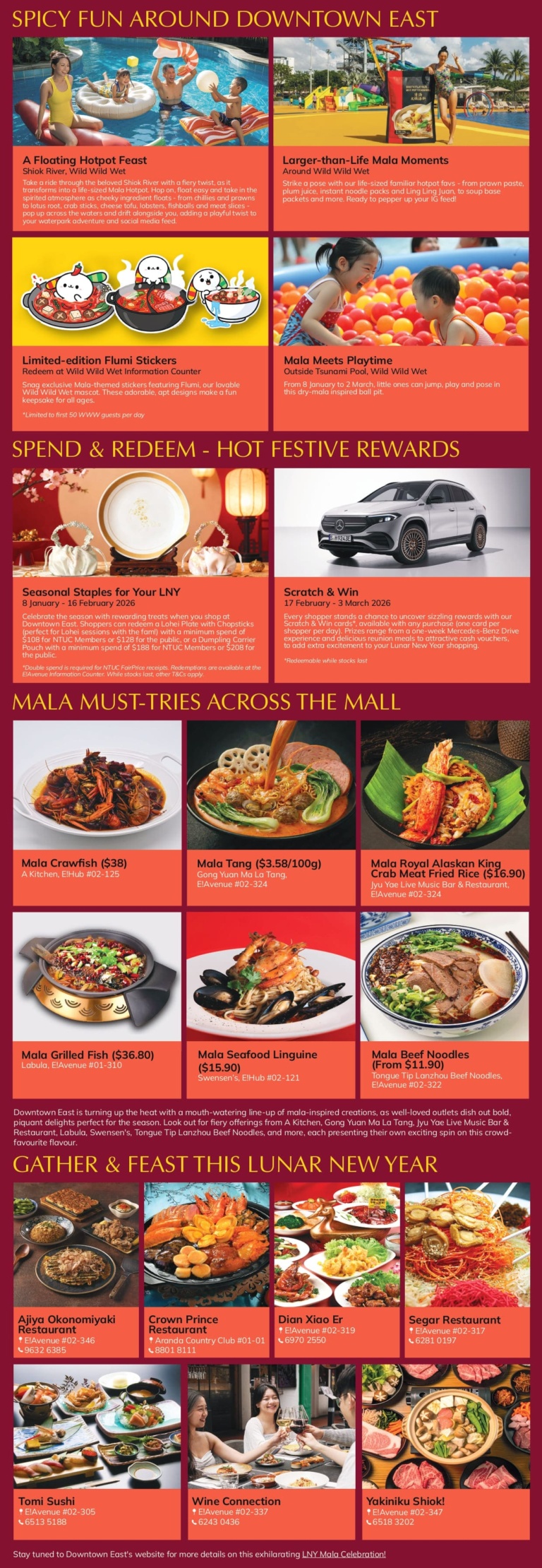 Lunar New Year Mala Celebration at Downtown East