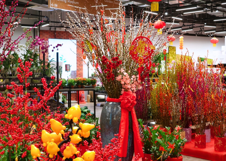 Far East Flora CNY 2026 - Pussy Willow