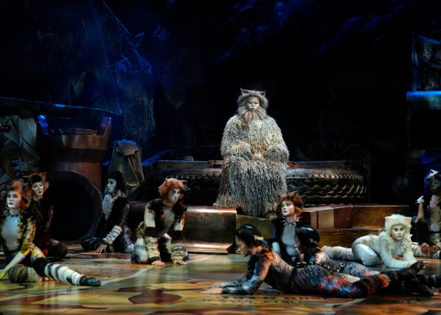 cats-the-musical-theatre-shows-singapore