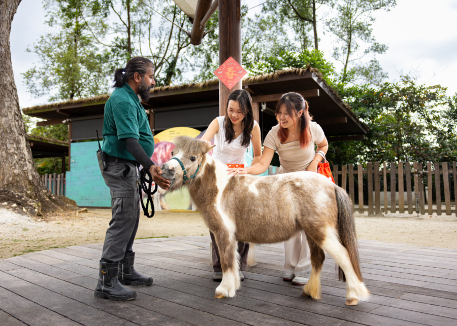 chinese new year events singapore 2026 | mandai wildlife