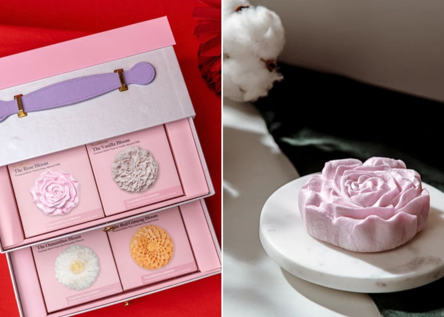 cny gifts 2026 - nestbloom