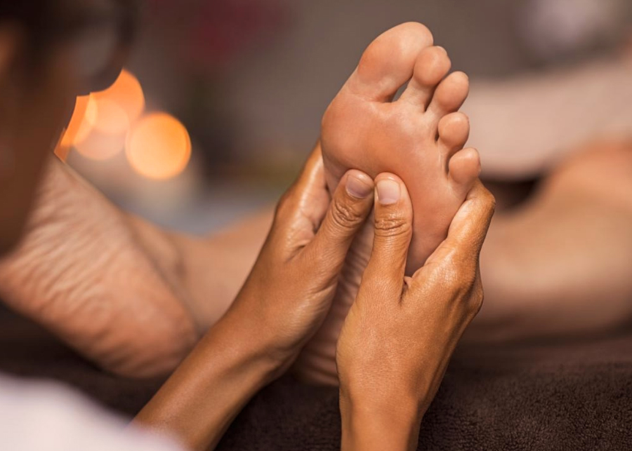 Natureland | What's happening in Singapore this week