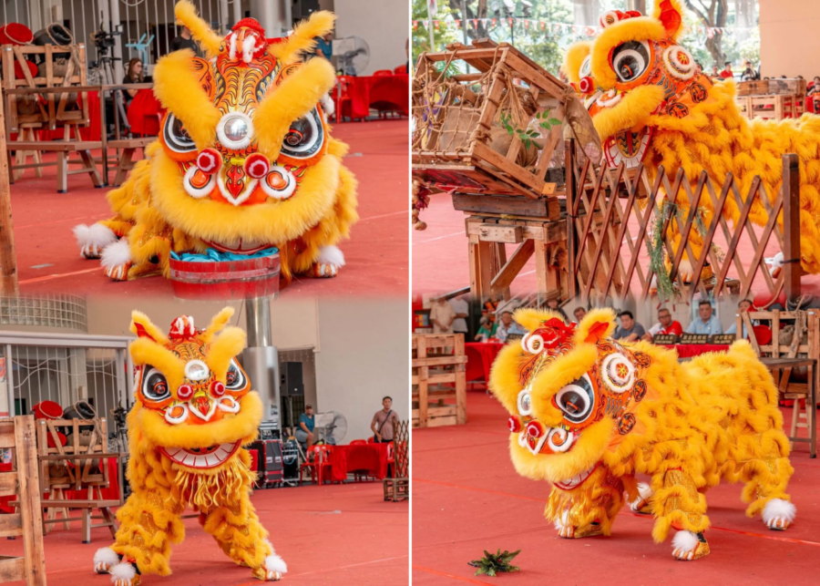 Singapore Teng Yang Association lion dance 