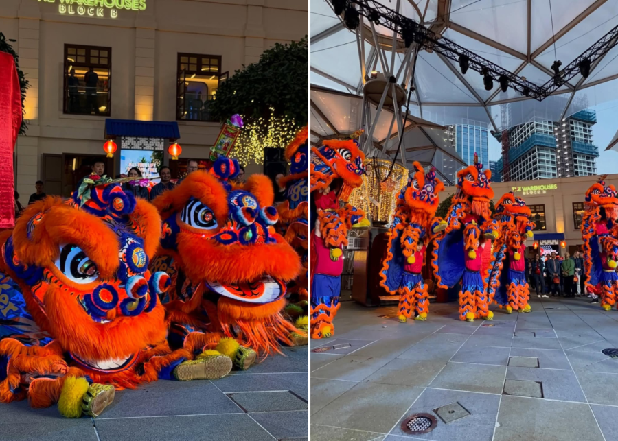 Tiger's Huat Squad lion dance