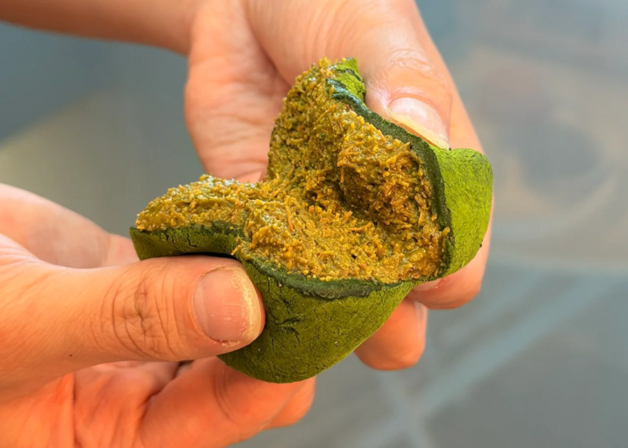 Dubai chewy cookies are blowing up in Singapore – here’s where to buy them