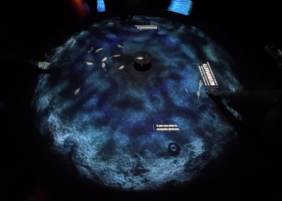 exploria mandai review singapore | world of darkness