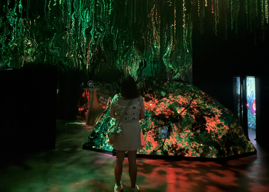 exploria mandai singapore | infinite wonderland