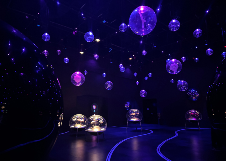 exploria mandai singapore review | micro worlds