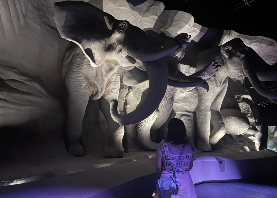 exploria mandai singapore review | realm of the giants