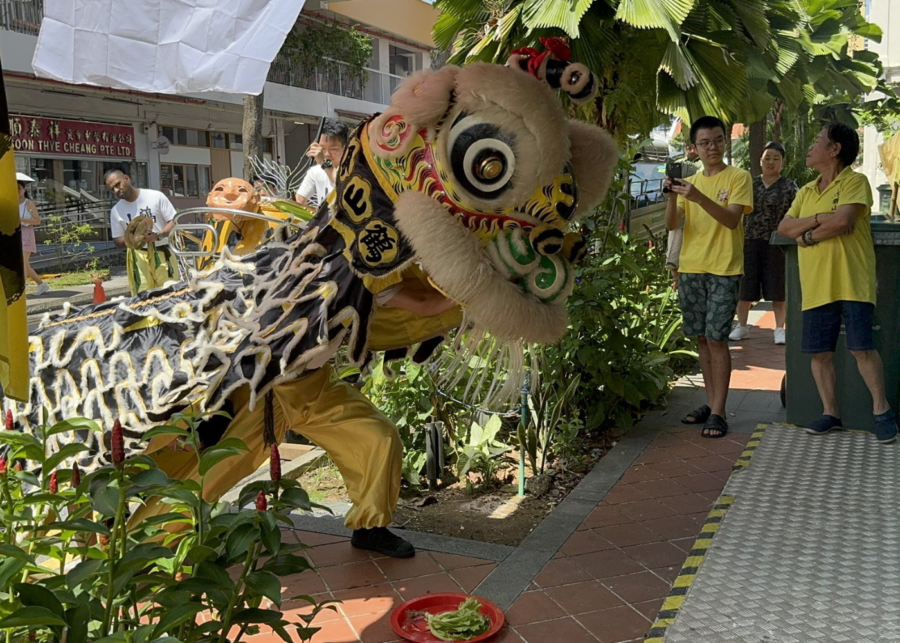 hok san association - lion dance troupe singapore