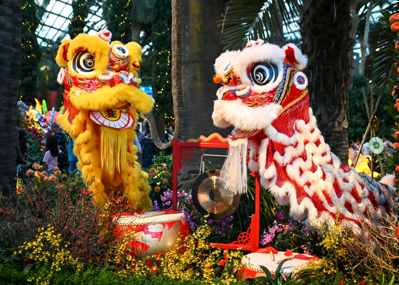 Lion dance troupes in Singapore: Who you need to hire for festive celebrations
