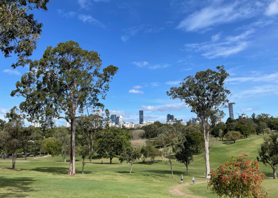 things to do in brisbane | victoria park