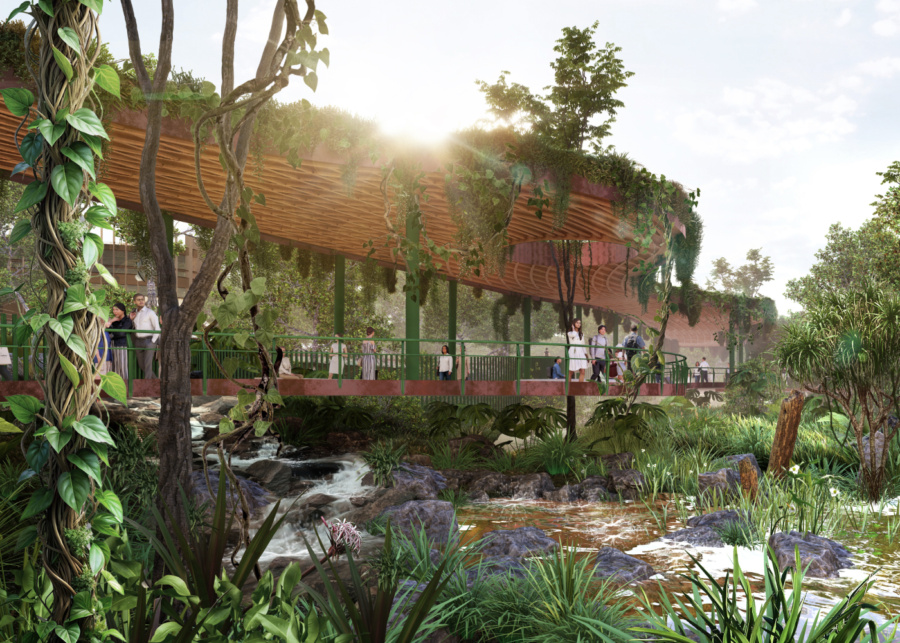 Canopy Boardwalk | Wetlands by the Bay