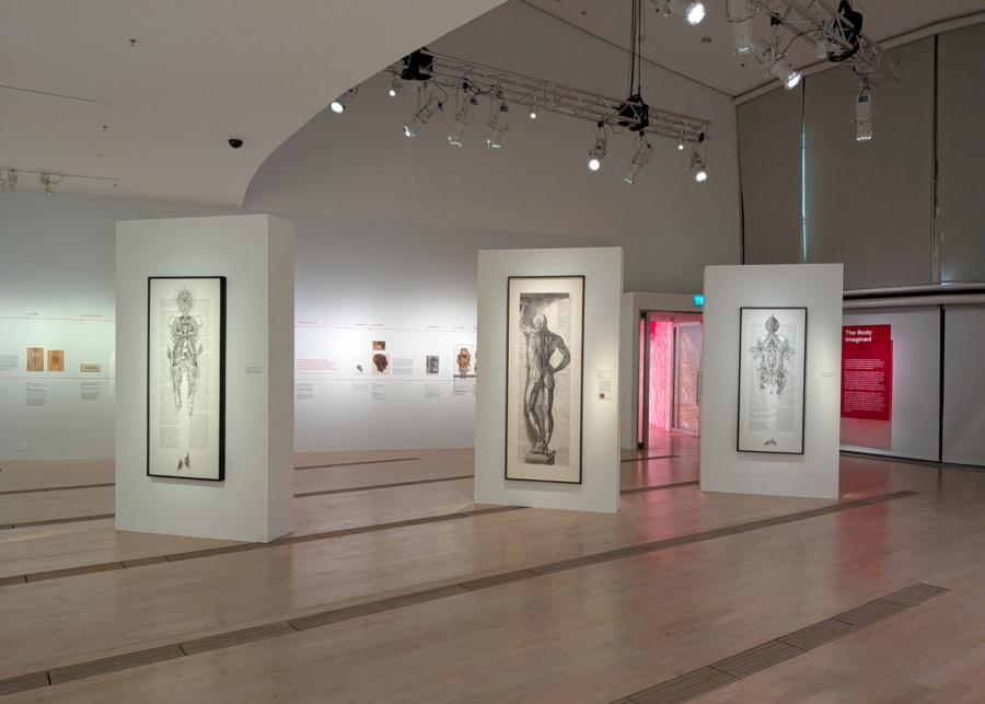 ArtScience Museum's Flesh and Bones: The Art of Anatomy - Rare anatomical engravings courtesy of the Getty Research Institute, Los Angeles | What's happening in Singapore