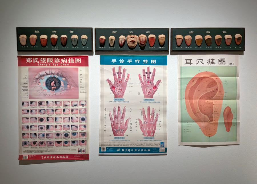 ArtScience Museum's Flesh and Bones: The Art of Anatomy - TCM charts courtesy of the Singapore Chinese Physicians' Association | What's happening in Singapore