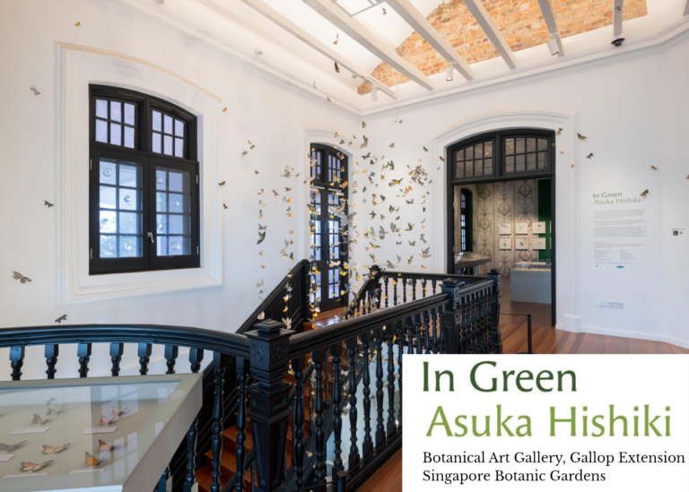 In Green – Asuka Hishiki @ Botanical Art Gallery