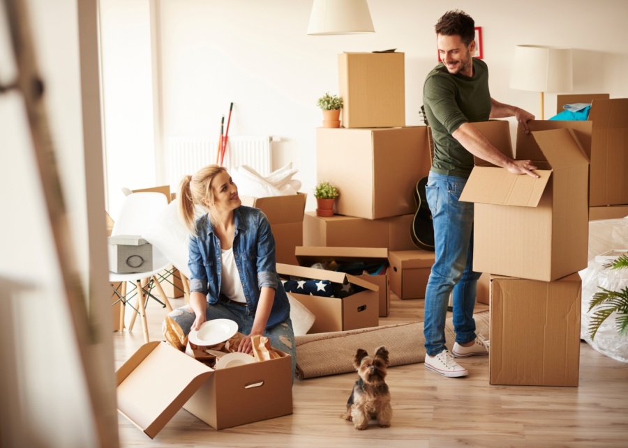 Best house movers in Singapore: 12 moving companies for a stress-free relocation