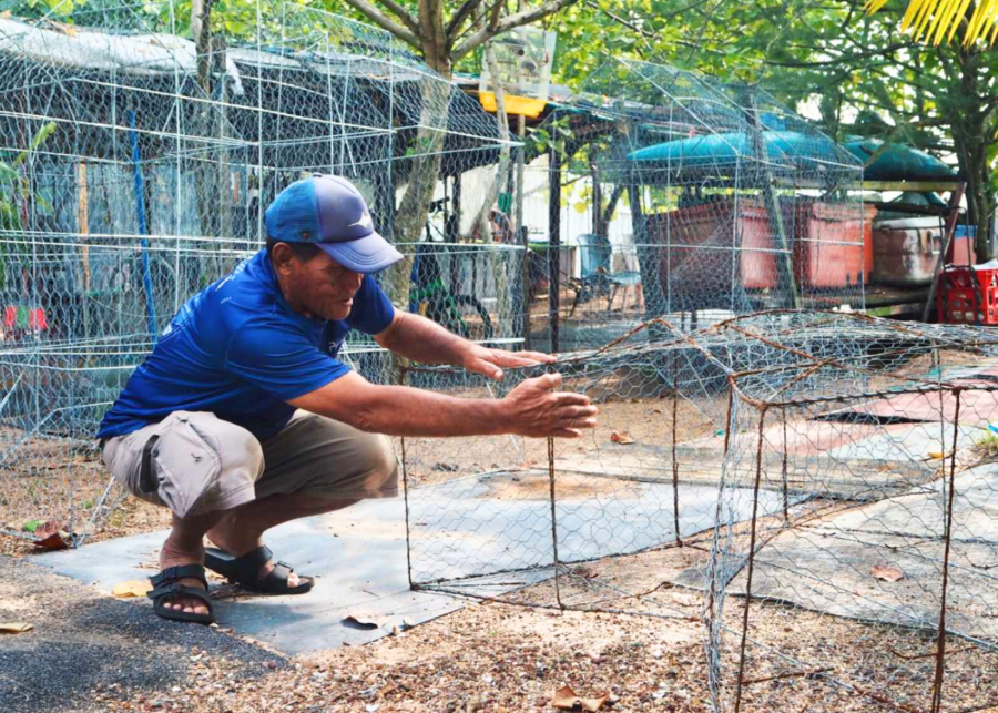 Coastal walk tour SG Culture Pass activities