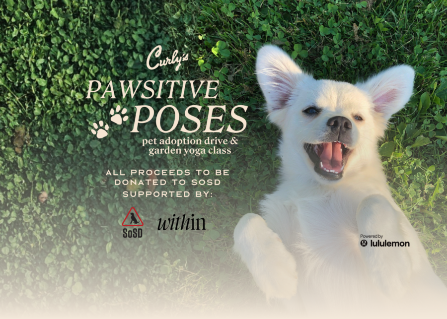 Pawsitive Poses Pet Adoption Drive & Garden Yoga Class at Curly’s