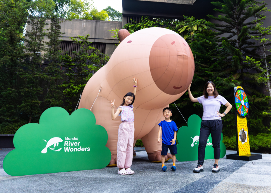capybara activities mandai wildlife river wonders - things to do in singapore this weekend