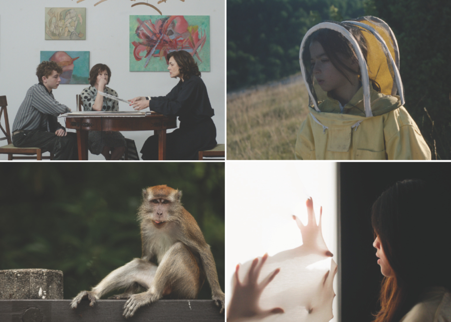 european film festival 2026 - things to do this weekend in Singapore