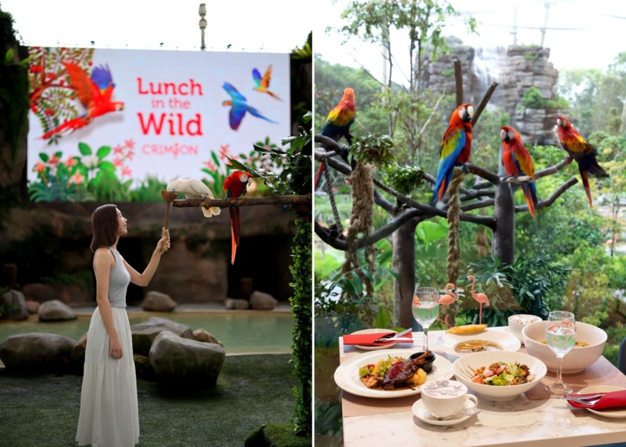 mandai wildlife reserve food guide