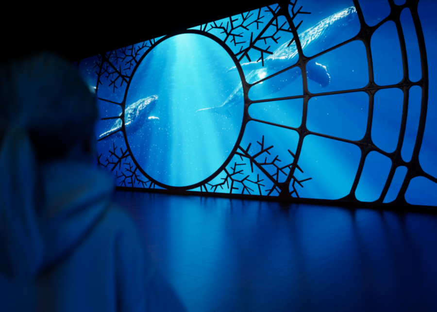 one ocean every action ripples science centre