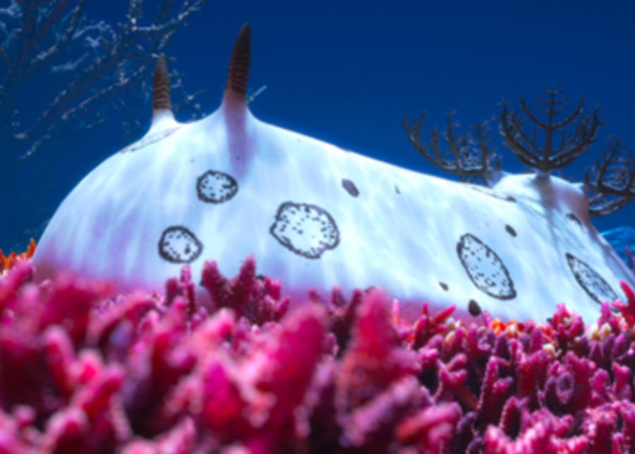 science centre exhibition 7 wonders of the ocean