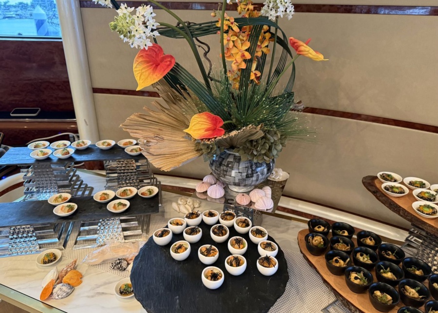 singapore yachting festival 2026 wellness yacht