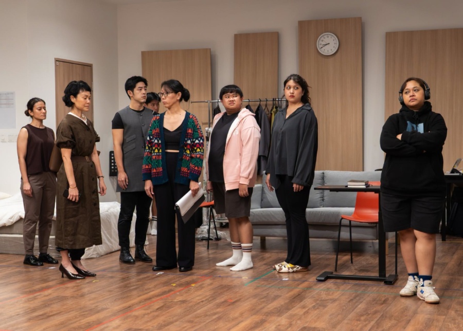 the radicalisation of mrs mary lim rodrigues theatre shows singapore