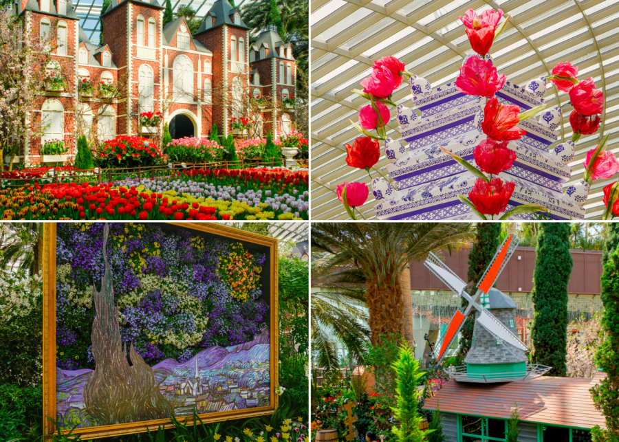 tulipmania gardens by the bay - things to do this weekend in singapore