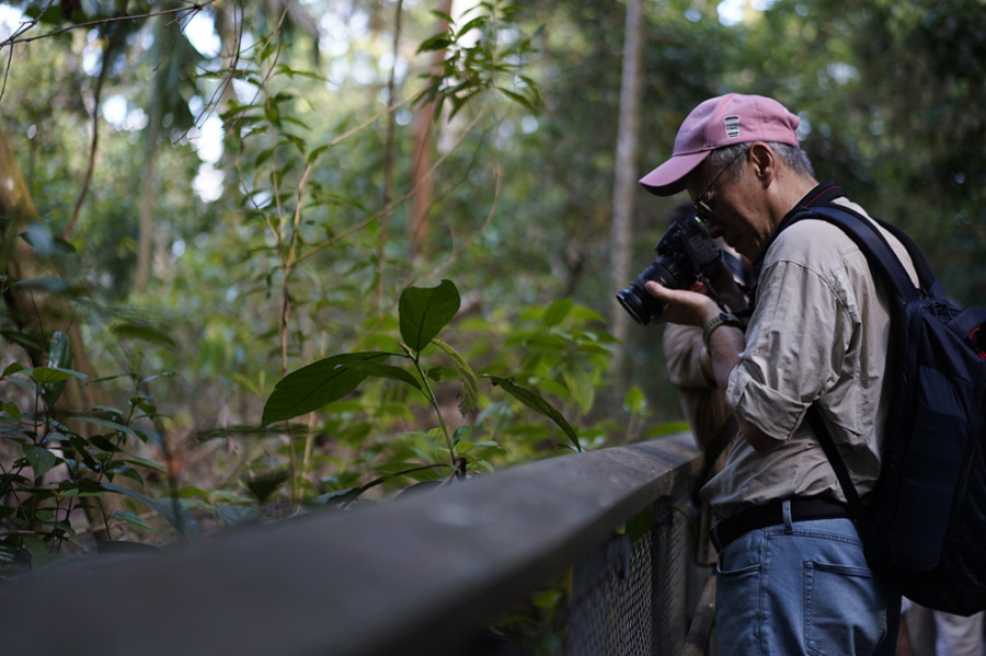Photowalk: Reimagining Nature