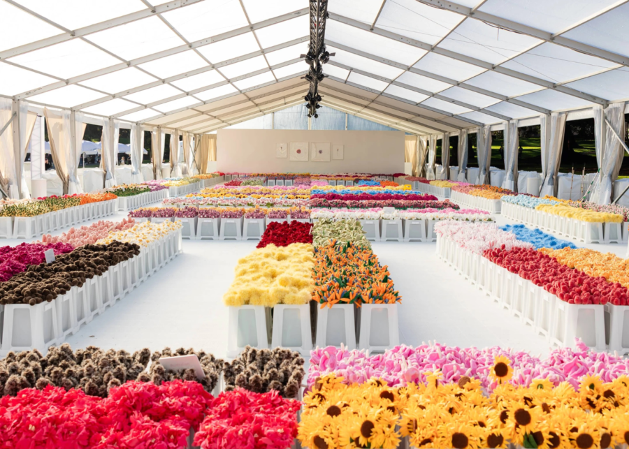 cj hendry flower market singapore (3)