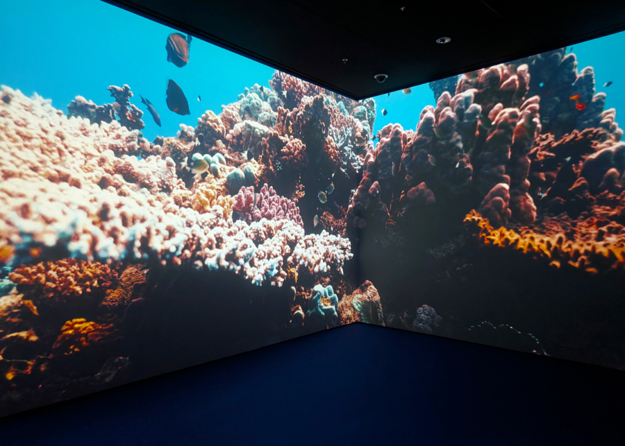 ArtScience Museum and OceanX's Into the Ocean: Journey Beneath | What's happening in Singapore