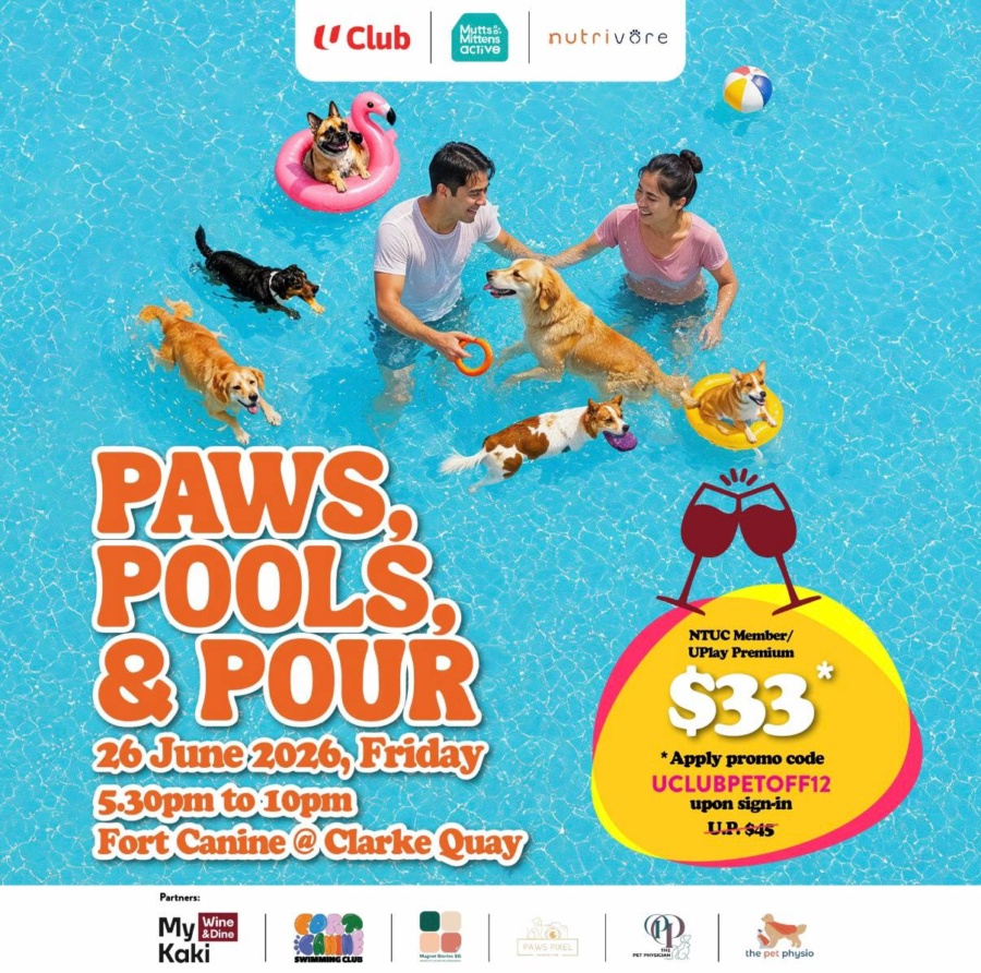 Paws, Pool & Pour at Fort Canine Swimming Club
