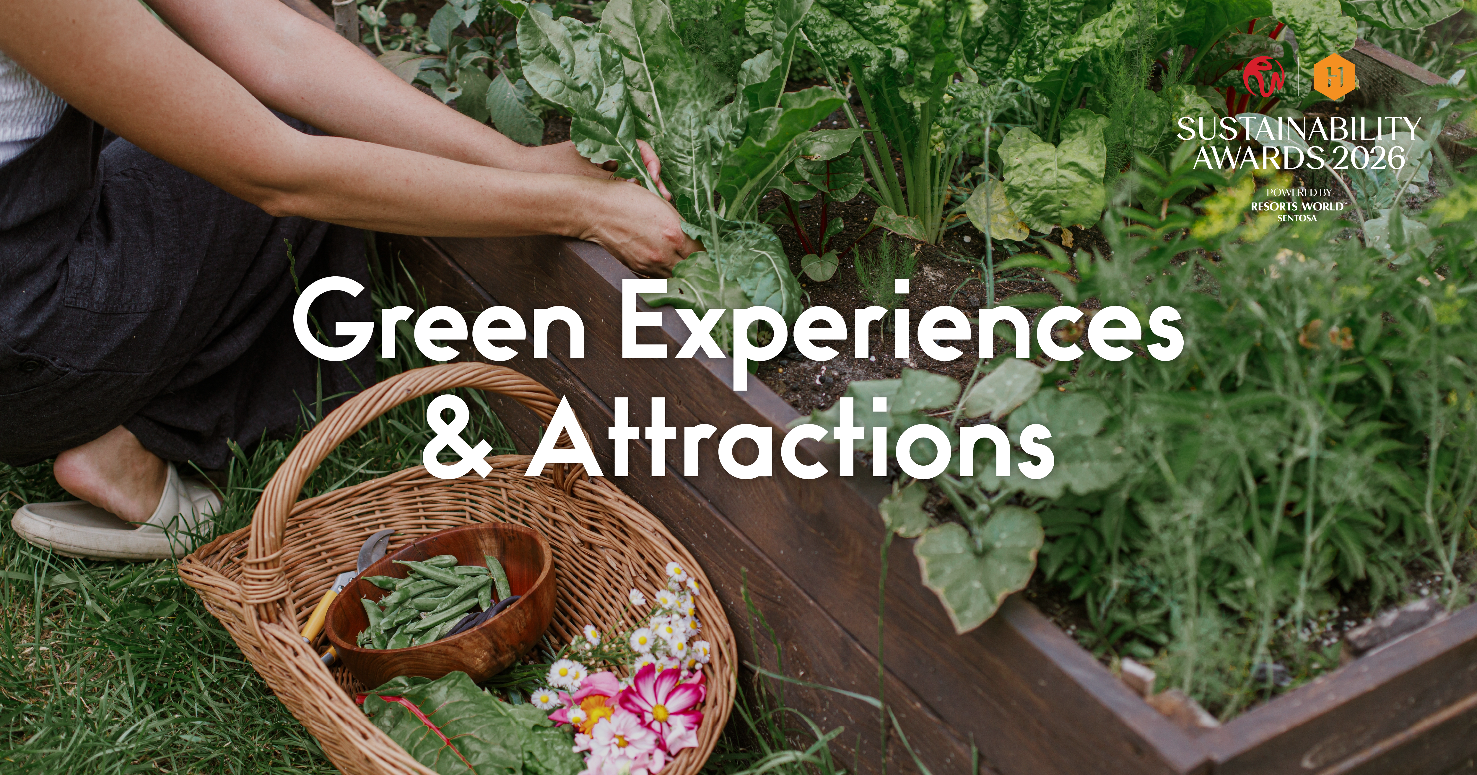 Honeycombers Sustainability Awards 2026 | Green Experiences & Attractions