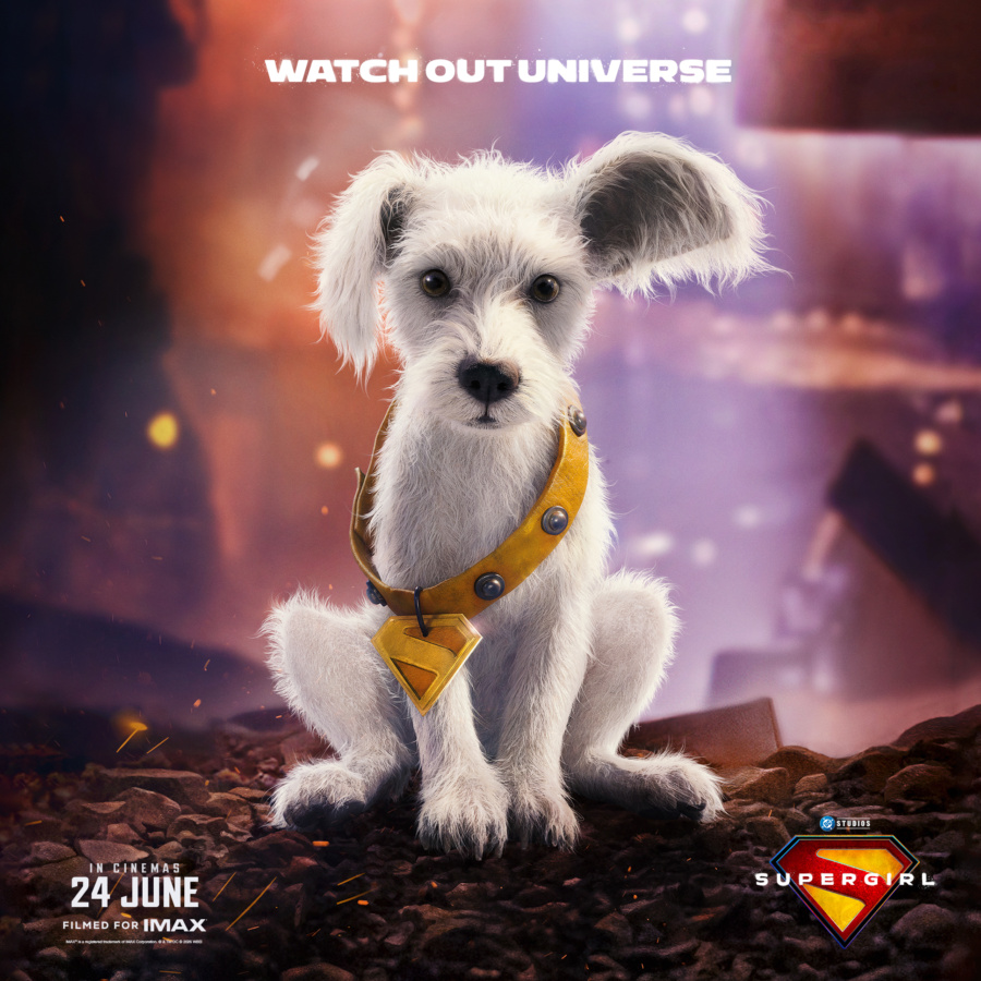 SUPERGIRL: Heroes with Paws